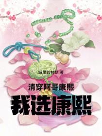 清穿到康熙朝穿成阿哥的