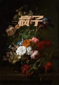 疯子by小妖子全文无删减版免费阅读 笔趣阁