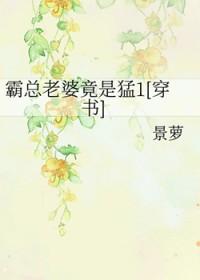 霸总宠妻超级