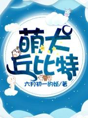 丘比特宠物怎么样