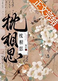枕相思宋衿禾盛从渊
