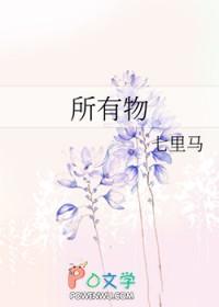 所有物用英语怎么说