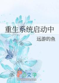系统重启后进入系统恢复选项