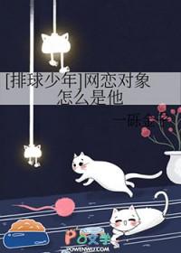 排球少年cp名