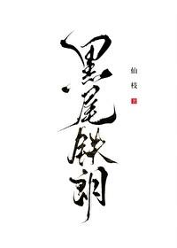 排球少年同人文 晋江