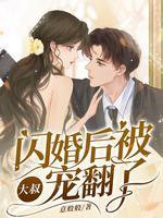 闪婚独宠大叔