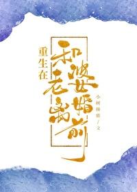 重生在和老婆离婚前的