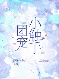 小团宠