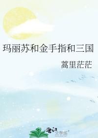 三国玛丽苏文