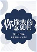 你懂我的意思是什么吗
