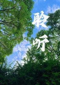 聆听(校园1v1)txt无删减