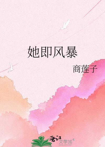 她即风暴by