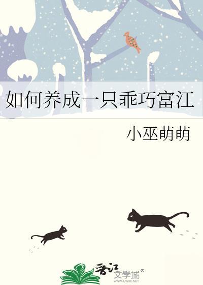 怎么养一只乖巧的猫
