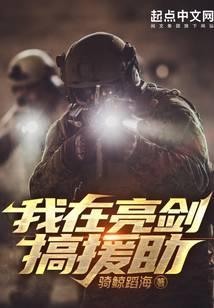 我在亮剑搞援助的
