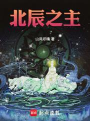 北辰之主笔趣阁无错版