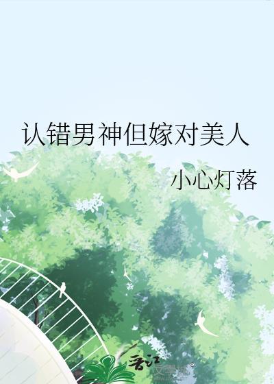 认错男神但嫁对美人小心灯落