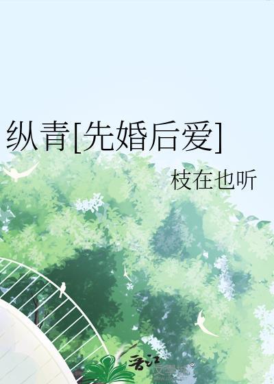 纵情讲的什么