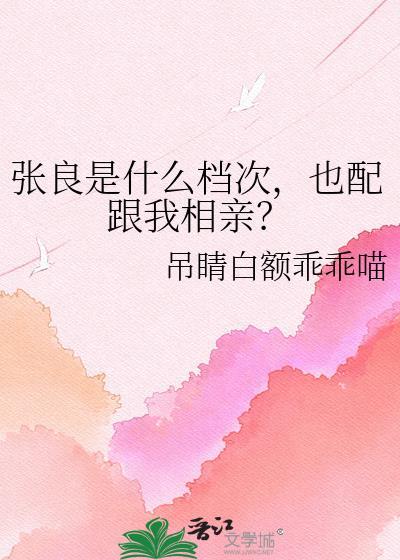 张良是干什么的