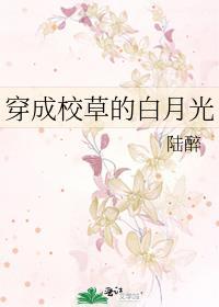 穿成校草白月光全文免费阅读
