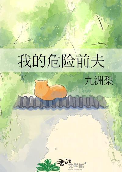 我的危险前夫九州梨