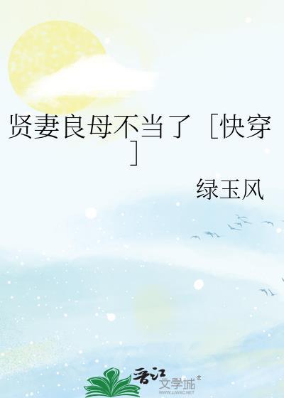 贤妻良母作者