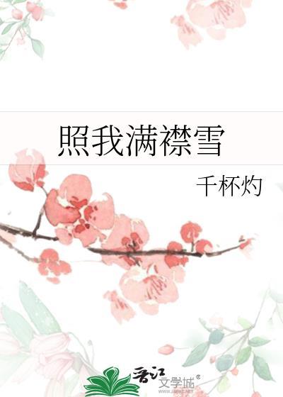 照我满襟雪by雪全文免费阅读