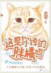 这是你掉的胖橘吗番外免费阅读