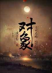 不可攻略by