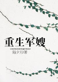 重生军嫂驭夫计