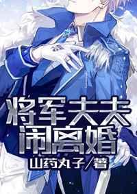 将军夫夫闹离婚全文阅读