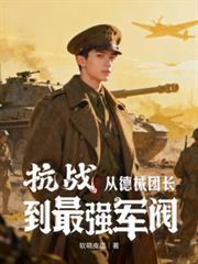 重生抗日之国民党的德械师师长