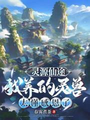 灵源仙途我养的灵兽太懂感恩了免费