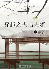 穿越之夫唱夫随TXT