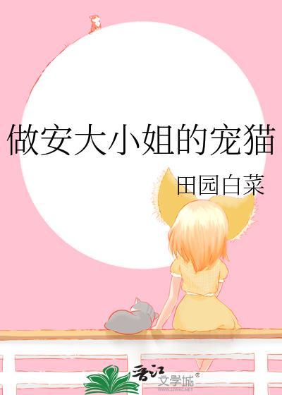 安大小姐的高科技