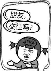 朋友交往吗红刺txt