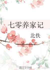 七零养家记百度