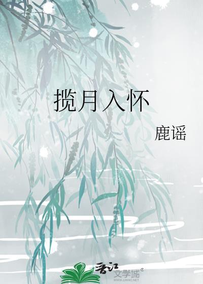 揽月入怀的诗句