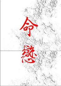 命恋爱游戏