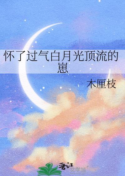 怀了渣攻白月光的崽番全